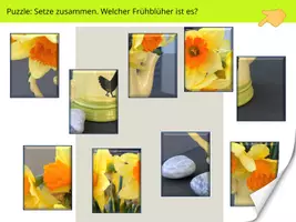 Vorschau - Interaktives Material - Aufgabenbuch: Hallo Frühling! (ePub, 47 S.) + Begleitbuch + interactive - Seite 2