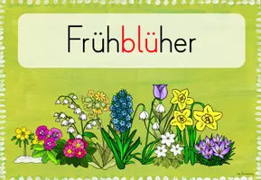 Vorschau - Poster - Frühblüher: Poster für Themenecke - Seite 3