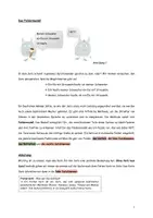 Vorschau - Merkblätter - Das topologische Feldermodell_Erklärung für Schüler*innen - Deckblatt