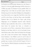 Vorschau - Stationenlernen - Meerestiere Grundschule | Steckbriefe Sachunterricht Klasse 2-4 - Seite 3