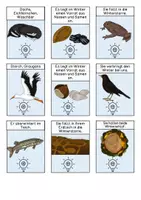Vorschau - Mal- und Bastelvorlagen - Kleines Materialpaket - Tiere im Winter - Seite 2