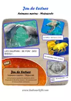 Aperçu - Jeux - Jeu de lecture - Animaux marins - Majuscule - Page de couverture