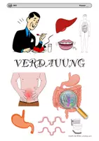 Vorschau - Mal- und Bastelvorlagen - Cover zum Thema Verdauung - Deckblatt