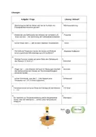 Vorschau - Arbeitsblätter - Physik - Puzzle 14 Temperaturmessung und Thermometerskalen - Seite 1