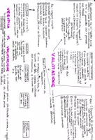 anteprima - Testo - Concorso 3 - Pagina 2