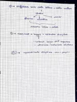 anteprima - Testo - Concorso 5 - Pagina 3