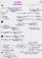 anteprima - Testo - Concorso 6 - Pagina 1