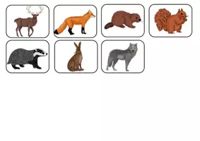 Vorschau - Arbeitsblätter - Faltheft - Tiere im Winter/ Fußspuren - Seite 3