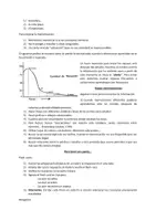 Vista previa - Refuerzo / NEE / Materiales de apoyo - Técnicas de estudio - página 3