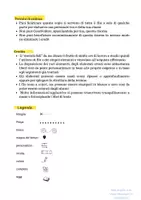anteprima - Altro tipo di materiale - Il teatrino nel mio cuore - Pagina 2