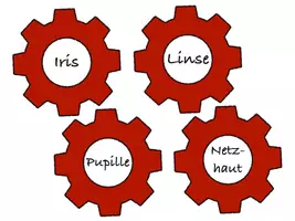 Vorschau - Spiele - Zahnrad zum Auge - Seite 2