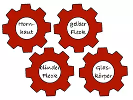 Vorschau - Spiele - Zahnrad zum Auge - Seite 3