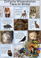 Vorschau - Stationenlernen - Tiere im Winter - einfache Wissenskarten - Deckblatt