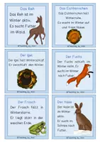 Vorschau - Stationenlernen - Tiere im Winter - einfache Wissenskarten - Seite 2
