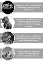 Vorschau - Bildkarten - Dinosaurier Fakten als Lernkarten schwarz/weiß - Seite 1