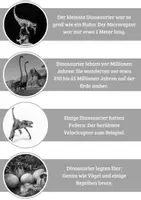 Vorschau - Bildkarten - Dinosaurier Fakten als Lernkarten schwarz/weiß - Seite 2