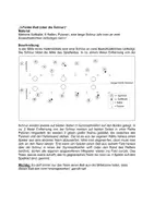 Vorschau - Spiele - 3-Felder-Ball (über die Schnur) - Seite 1
