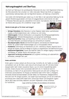 Vorschau - Arbeitsblätter - Gesunde Ernährung 7./8. Klasse: Hunger, Armut und Überfluss; Lebensmittelverschwendug - Seite 1