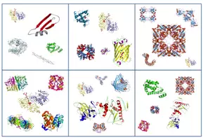 Vorschau - Spiele - Proteine und Proteinstruktur – Kartenspiel (Abitur) - Seite 2