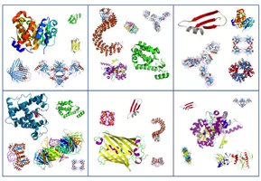 Vorschau - Spiele - Proteine und Proteinstruktur – Kartenspiel (Abitur) - Seite 3