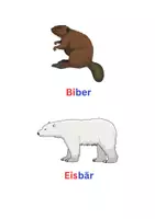 Vorschau - Poster - Erste Wörter lesen: zweisilbige Tiere - Deckblatt