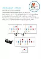 Vorschau - Spiele - Aminosäuren und Proteine - 6x Aktivitäten und Spiele (Abitur) - Seite 1