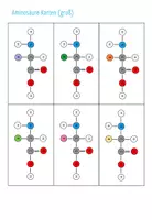 Vorschau - Spiele - Aminosäuren und Proteine - 6x Aktivitäten und Spiele (Abitur) - Seite 3