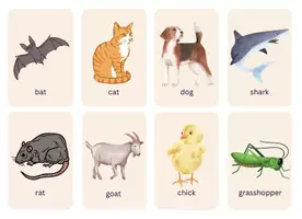 Vorschau - Bildkarten - ANIMALS FLASH CARDS - Lernkarten Tiere Fach Englisch - Seite 1