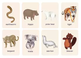 Vorschau - Bildkarten - ANIMALS FLASH CARDS - Lernkarten Tiere Fach Englisch - Seite 2