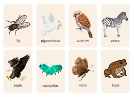 Vorschau - Bildkarten - ANIMALS FLASH CARDS - Lernkarten Tiere Fach Englisch - Seite 3