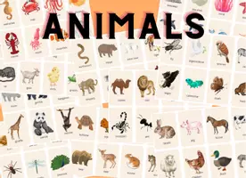 Vorschau - Bildkarten - ANIMALS FLASH CARDS - Lernkarten Tiere Fach Englisch - Deckblatt
