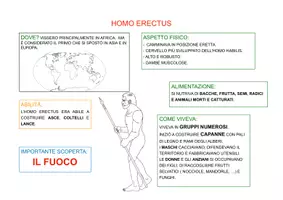 anteprima - Materiale di supporto/inclusione - MAPPE SEMPLIFICATE SULL' EVOLUZIONE DELL' UOMO - Pagina 3