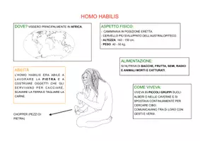 anteprima - Materiale di supporto/inclusione - MAPPE SEMPLIFICATE SULL' EVOLUZIONE DELL' UOMO - Pagina 2