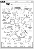 Vorschau - Arbeitsblätter - Pets / Haustiere – Wortschatz Englisch | Vocabulary Worksheet 4.–5. Klasse - Seite 1