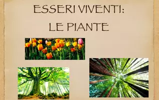 anteprima - Materiale di supporto/inclusione - COME RESPIRANO E COME SI RIPRODUCONO LE PIANTE - Pagina di copertina