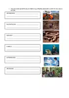 anteprima - Materiale di supporto/inclusione - 1- VERIFICA SUGLI AIUTANTI DELLO STORICO, SULLE FONTI E LA LINEA DEL TEMPO - Pagina di copertina