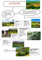 anteprima - Materiale di supporto/inclusione - MAPPE MONTAGNA, COLLINA E PIANURA. - Pagina di copertina