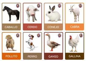 Vista previa - Juegos / Gamificación - RECUERDA ANIMALES GRANJA - MEMORIA - VOCABULARIO - LECTOESCRITURA - página 3