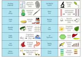 Vorschau - Spiele - Berühmte Biologen und deren Entdeckungen - Dominospiel - Seite 2