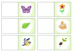 Vorschau - Arbeitsblätter - AnybookPro Material - Der Frühling - Seite 3