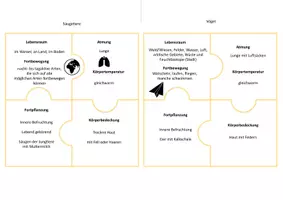 Vorschau - Spiele - Materialpaket Wirbeltiere und Wirbellose - Seite 3