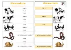 Vorschau - Spiele - Materialpaket_Klammerkarten_Wirbeltierklassen Freiarbeit - Seite 2
