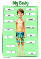 Vorschau - Arbeitsblätter - My Body / Body Parts, Worksheet - Deckblatt
