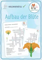 Vorschau - Arbeitsblätter - Aufbau der Blüte – Kreuzworträtsel - Deckblatt