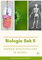 Vorschau - Arbeitsblätter - Energie Bereitstellung am Muskel Aufgaben + Lösung - Deckblatt