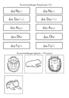 Vorschau - Stundenentwürfe - Materialpaket - Sachunterricht - Klasse 1 - Seite 2