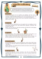 Vorschau - Arbeitsblätter - Was sind Wunder? Wundererzählungen Jesu - Bedeutung ; Gattungen und Aufbau mit Lösung (Klasse 5/6/7) - Seite 3