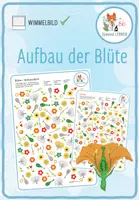 Vorschau - Arbeitsblätter - Aufbau der Blüte– Wimmelbild Rätsel - Deckblatt