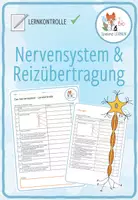 Vorschau - Test - Nervensystem und Reizübertragung - Lernkontrolle - Deckblatt