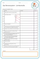 Vorschau - Test - Nervensystem und Reizübertragung - Lernkontrolle - Seite 1